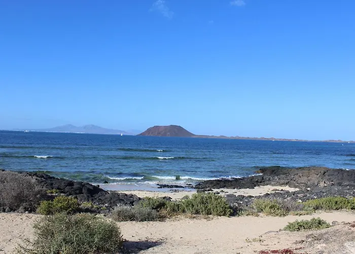 Eesha By Privilege Bay * La Oliva